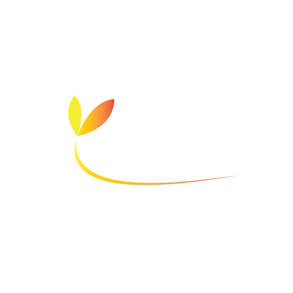 place holder image for senior services/office on aging that is a small yellow to orange flower